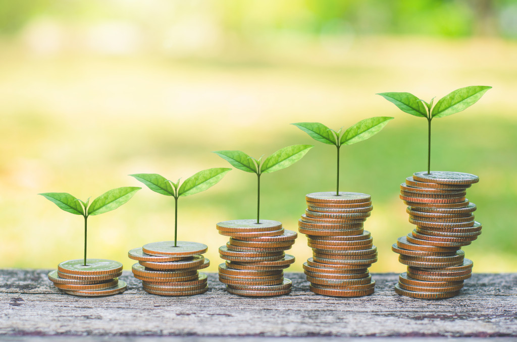 Coins,stack,on,wood,table,with,green,plant,growing,on.